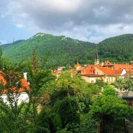 Casa Alise-Luise Apartment Brasov Ngoại thất bức ảnh