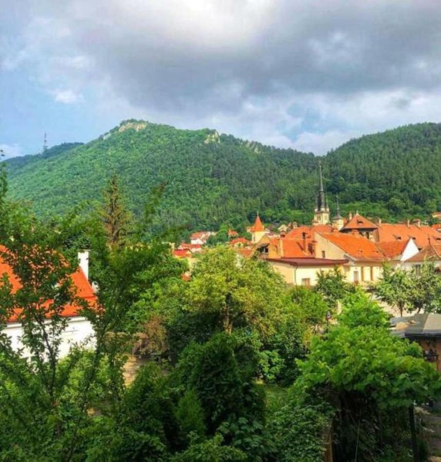 Casa Alise-Luise Apartment Brasov Ngoại thất bức ảnh